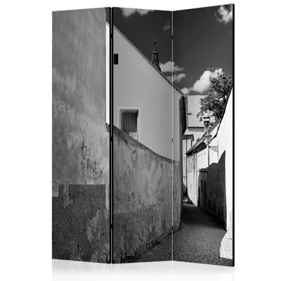 Hansgerd 135cm W x 172cm H 3 - Panel Solid Wood Folding Room Divider