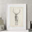 " Elk Study " by Paul Cezanne-24364739-24364736