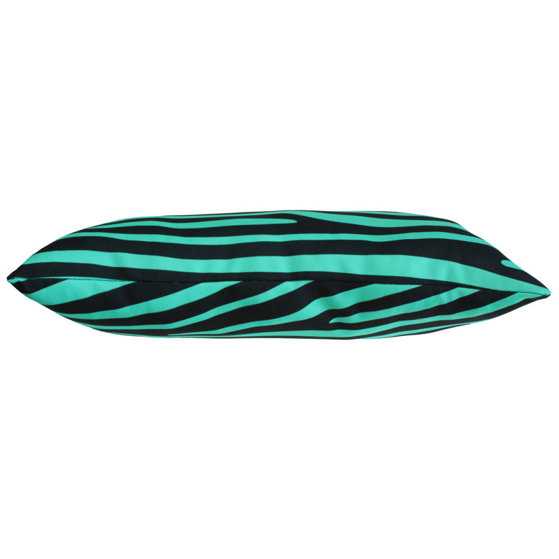 Animal Print Reversible Throw Pillow, Teal/Black