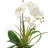 23 " Polysilk Orchid Arrangement