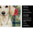 Cream Dachshund Christmas PoinsettIas Kitchen Towel-2080583729