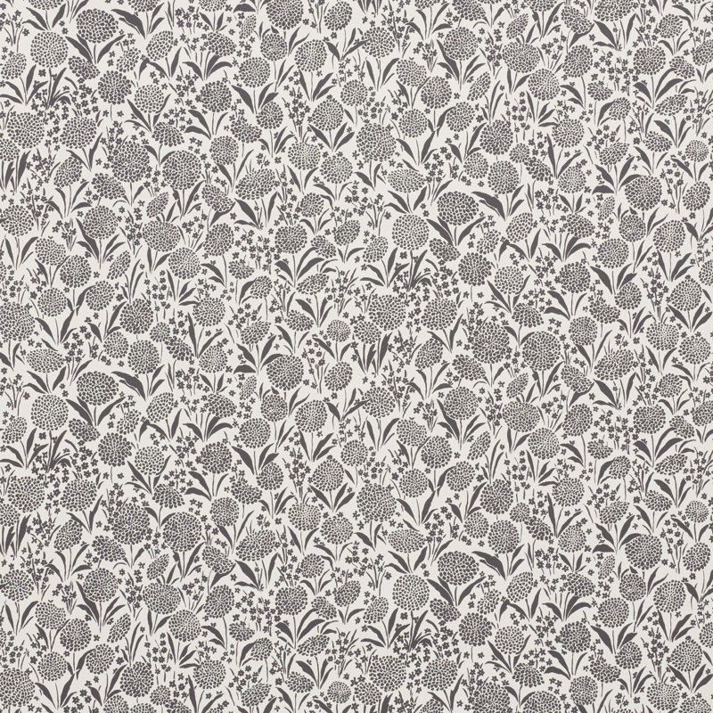 Chrysanthemum Wallpaper, Carbon