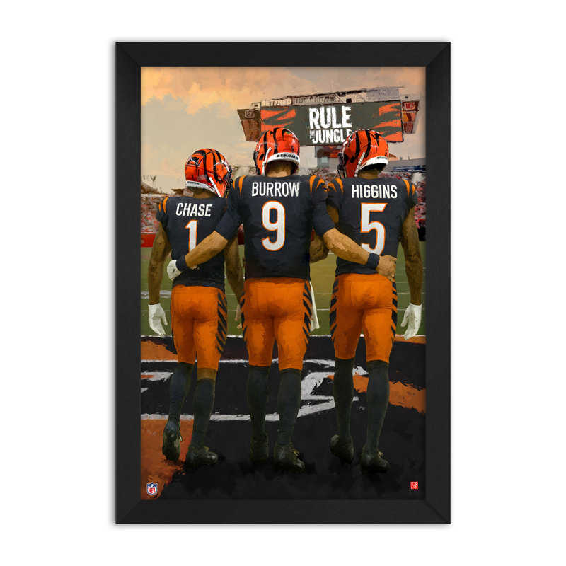 Affiche encadrée 3 joueurs des Bengals de Cincinnati (NFL), format 14 x 20 pouces, NFL Cincinnati Bengals