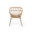 Chaise Harlem