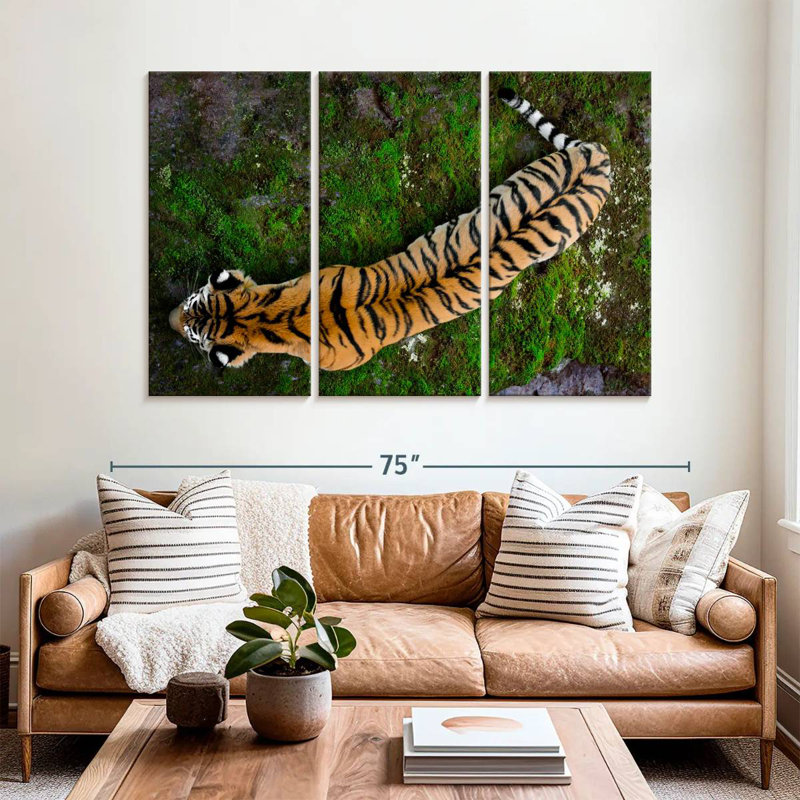 Brampt Tiger From Above, 42" H x 65" W