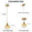 1-Golden brown glass dimmable pendant light