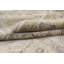 Oriental Area Rug in Ivory