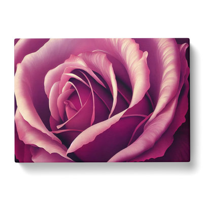 Lovable Rose Flower - Wrapped Canvas