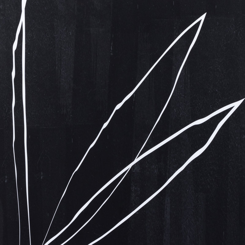 Abstract Botanic Line Drawing Print by Roseanne Kenny