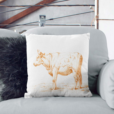 Square Throw Cushion