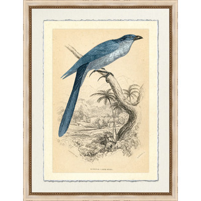 Lark Heel Painting