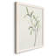 Spindle Sprig III - peinture sur toile encadrée-763254580-763254584