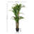 Faux 59'' Dracaena Tree