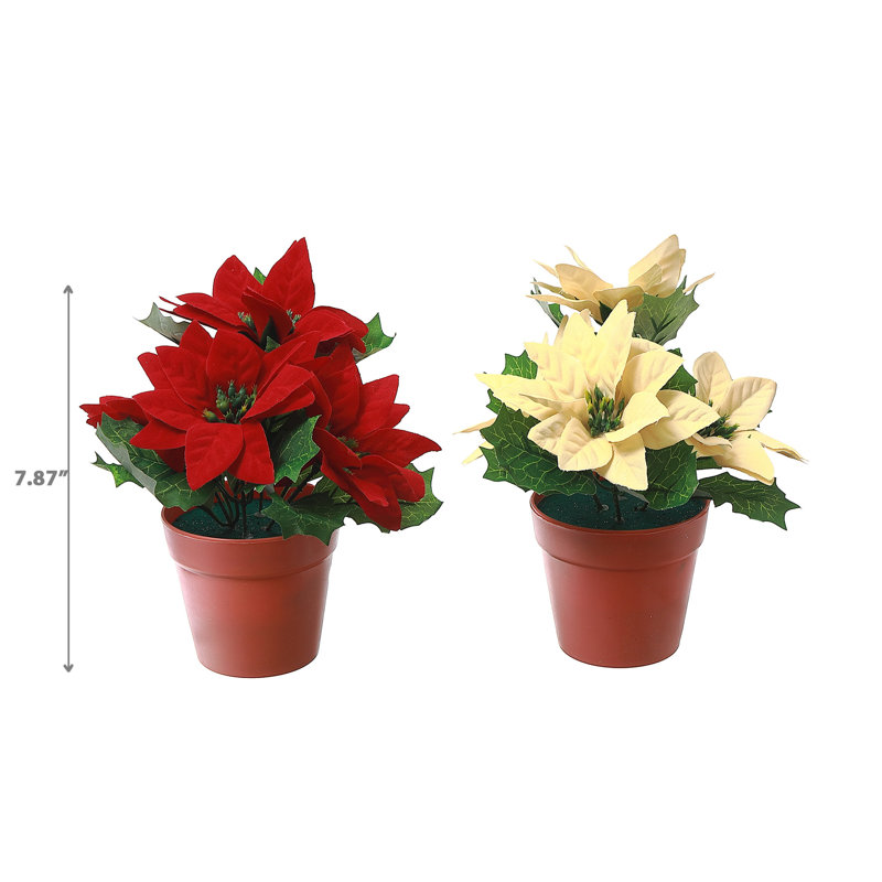 Ensemble de 2 pots à poinsettia