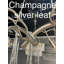 Lustre linéaire Breakers-1143834694-1143663863