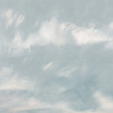 No Woebegone Day 1' Print on Canvas