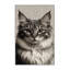  Tapis lavable Cymric Cats-1166187791