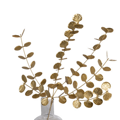 Tige botanique, eucalyptus