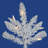 54' Spruce Christmas Tree