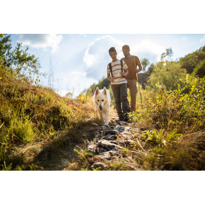 Family Of Hikers With Dog In Nature by Miodrag Ignjatovic - No Frame Art Prints on Canvas