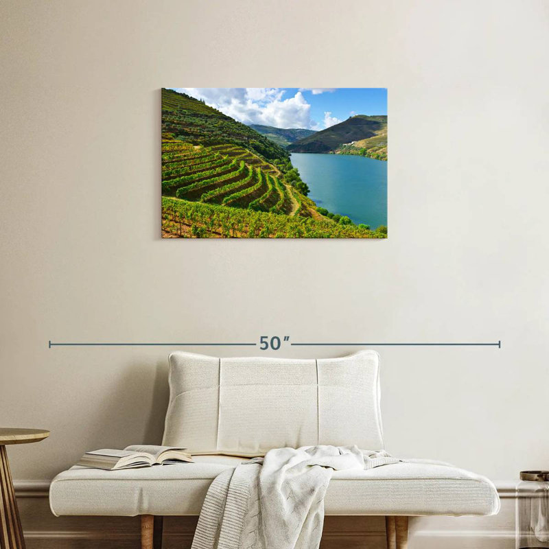 Alvord River Douro Vineyards, 20" H x 30" W