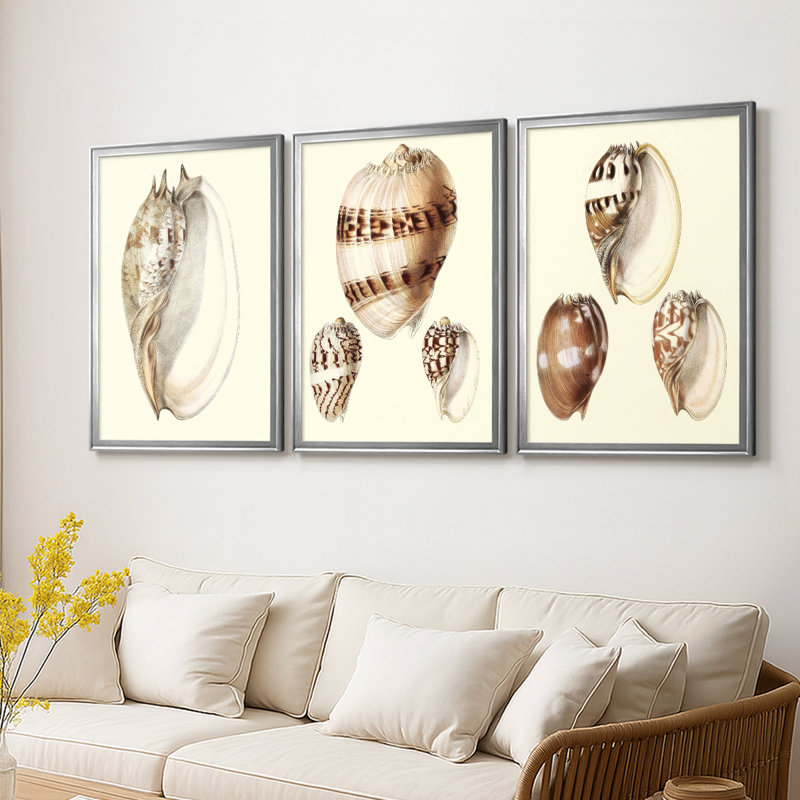 Splendid Shells IV - Toile tendue avec châssis sur mesure - 3 pièces, H 15 po x l 19 po, Argent argent