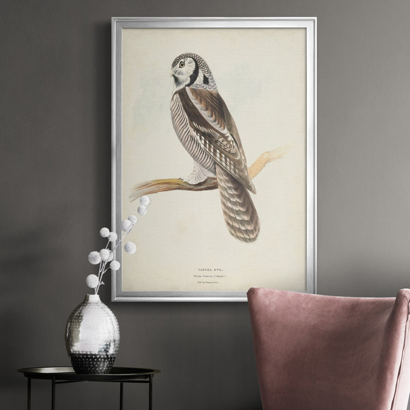 Toile encadrée de qualité supérieure Canada Owl - prête à être accrochée, H 30,5 po x l 22,5 po x P 1 po, Argent