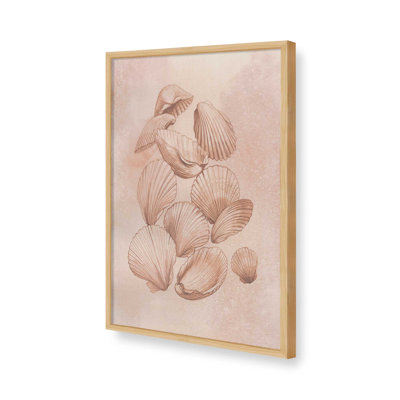 «Saltwater Shell Study I» par Grace Popp, reproduction d'art