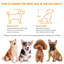 Mobilier pour cage de chien avec coussin, table en bois pour caisse de chien avec 2 tiroirs-901730305-901730304