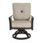 Santa Fe Cushioned Swivel Rocker