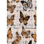 Tapis d'entrée de qualité supérieure, 31,5 po x 59,1 po | 100% polyester, hauteur des poils de 0,4 po, antibactérien et envers en PVC antidérapant | Conception tissée avec impression numérique 3D, lavable à la machine, idéale pour la décoration intérieure et les vestibules-173045516