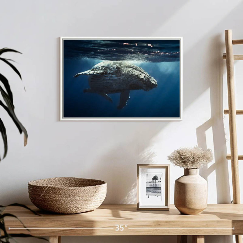 Baleine écumante, Cadre flottant blanc, 19 po x 13 po