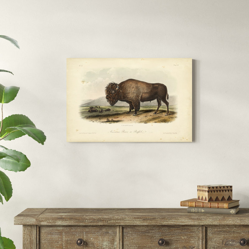 Bison d'Amérique, H 20 po x l 30 po x P 1,25 po