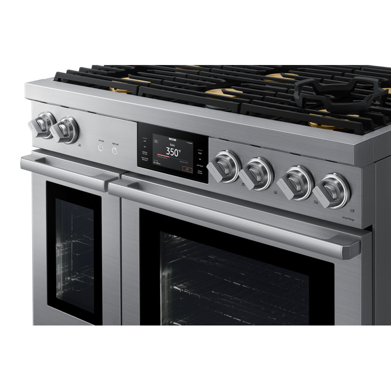 48" Pro-Range 6 Burners, Transitional, Silver, Dual Fuel