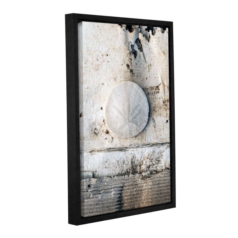 « coquillages iii », reproduction de photo sur toile tendue encadrée, H 8 po x l 12 po x P 2 po