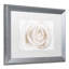« white rose », reproduction de photo sur toile encadrée-32707924-32707919