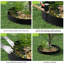 Bordure de paysage en acier, paquet de 8 bordures de jardin en acier, bandes de L 40 po x H 6 po, bordure de marteau avec 8 pinces, bordure de paysage pliable en métal pour cour, jardin, pelouse