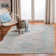 Chauncey Performance Oriental Rug