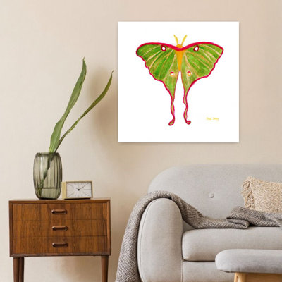 Art contemporain Contemporary Moth