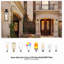 Ensemble de 2 lanternes murales d'extérieur rétro moderne avec abat-jour en verre transparent, noir mat-129620468
