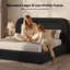 Très grand lit Cloud avec tête de lit de 5,9 po, lit plateforme tapissier avec arrondi incurvé pour les jeunes adultes, les familles d'enfants et d'animaux de compagnie, coussin en mousse de 5 pouces, sans sommier, assemblage facile de 15 minutes, crè-131213690-131640384