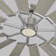 Elainea Ceiling Fan with LED Light Kit