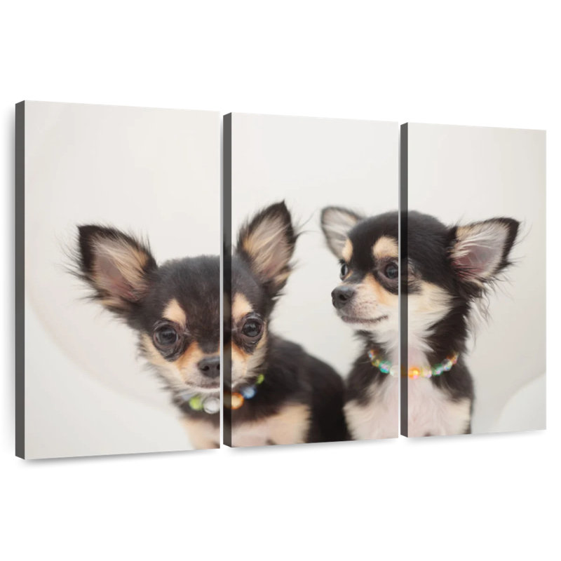 Chihuahua Duo, H 28 po x l 45 po