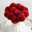 12 pièces de boules de fleurs de chrysanthème artificielles en soie pour des centres de table-380706570