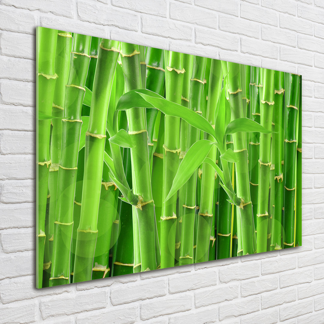 Glasbild Bamboos