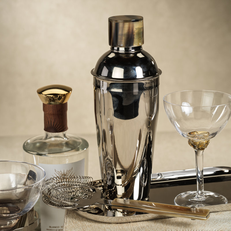 Stainless Steel Cocktail Shaker with Cap, Silver with Horn Cap