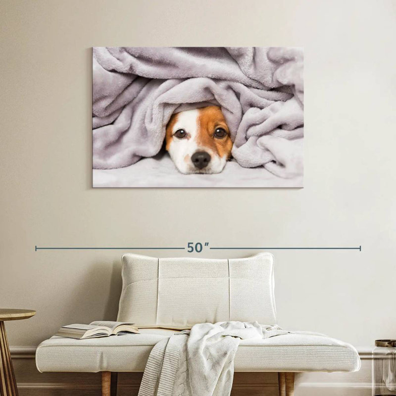 Brampt Blanket Bundled Dog, 26" H x 39" W
