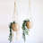 Shiloh Plant Stand