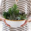 Bamboo 11" Serving Bowl - Natural/White
