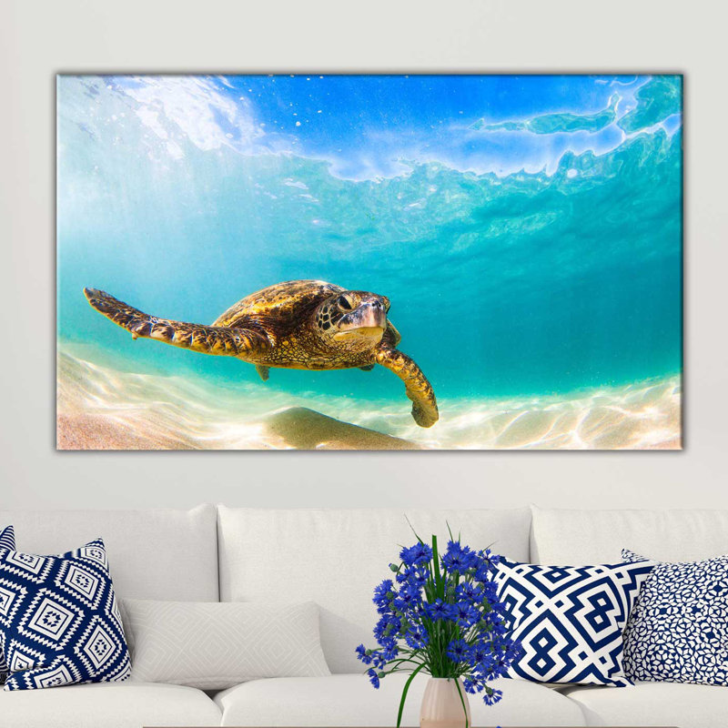 « coquillages iv », reproduction de photo sur toile tendue, H 18 po x l 30 po x P 1 po
